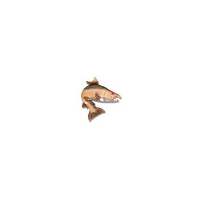 Salmon Medium Pendant with Ruby Eye, Rhodium Marking and Hidden Bail  MC_451.5RRHRUEHB
