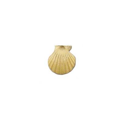 Pectan Shell Pendant