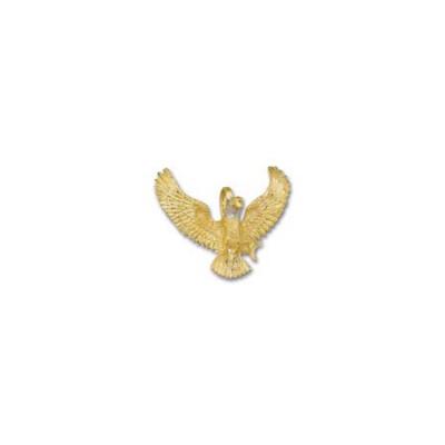 Eagle Landing To The Front Large Pendant 73AFHB