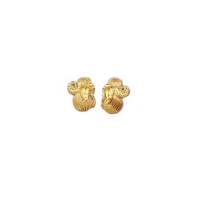 Tulip, Clam & Spirula Shell Post Earring